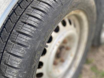 Bild 8:Blomert Pferdeanhänger, Viehanhänger