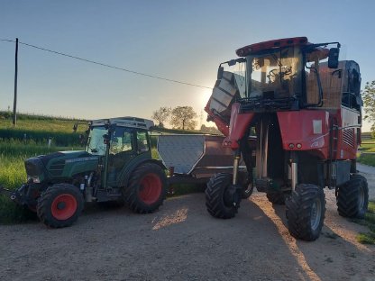 Suche Traktorfahrer/in für Weinlese