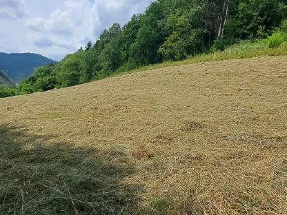 Bild 4:Pferdeheu - Bio Heusilage