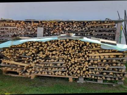 Bild 2:Brennholz