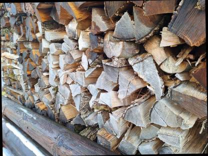 Bild 2:Brennholz
