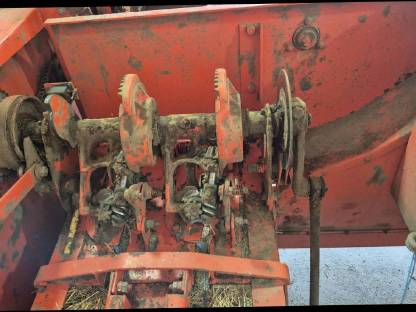 Bild 5:Köla Rivale II