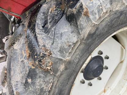 Bild 4:Traktorreifen 420/70-R28