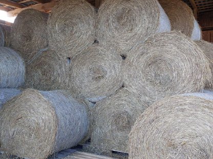 Bild 2:Rundballen Heu