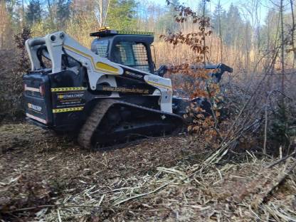 Bild 8:Forst- und Agrarservice