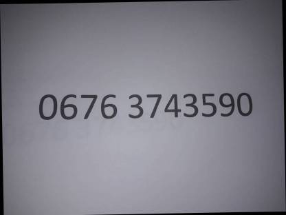 Bild 2:Heu Blitz Vogel und Noot