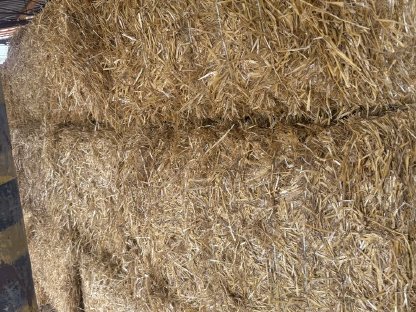 Bild 2:Stroh Ernte 2025 hallengelagert