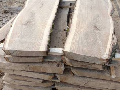 Bild 3:Eiche, Eichenholz