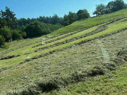 Bild 6:HEU-HEULAGE-SILAGE