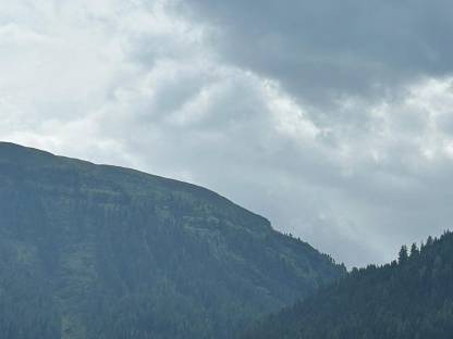 Wald