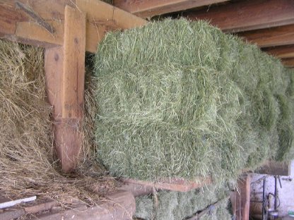 Kleinballen Grummet
