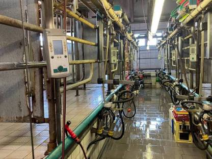 Bild 2:Melkstand Autotandem 2x5 GEA