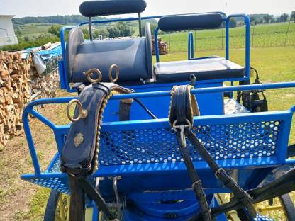 Bild 2:Pferdekutsche