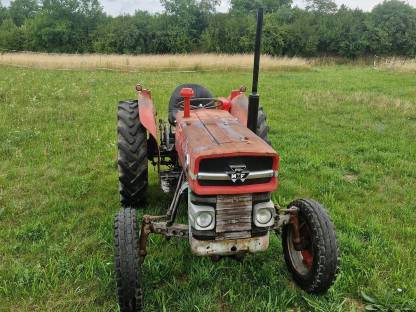 Bild 3:Massey Ferguson 135