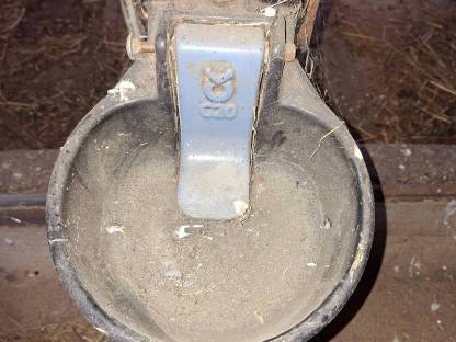 Bild 2:Selbsttränker