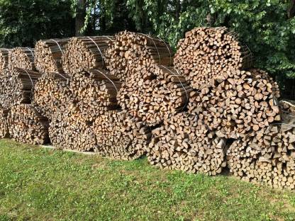 Bild 2:Brennholz