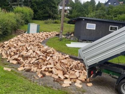 Bild 2:Brennholz, Kaminholz, Scheitholz, Ofenholz