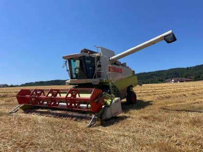 Lohndrusch mit 6 Schüttler Claas Lexion