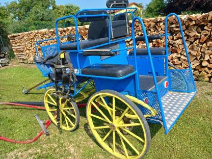 Bild 6:Pferdekutsche