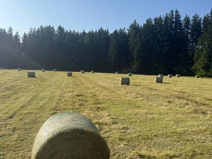 Bild 3:Heurundballen 1. Schnitt 2025