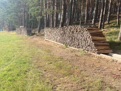 Bild 3:Brennholz Fichte/Kiefer