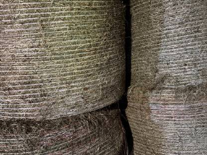 Bild 4:BIO Heuballen 2. Schnitt