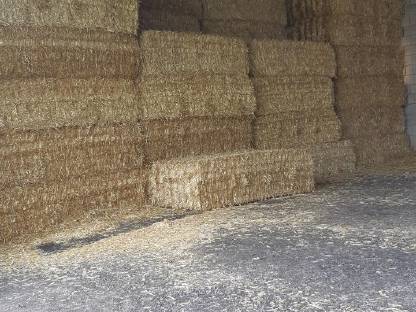 Bild 2:Stroh Ernte 2025