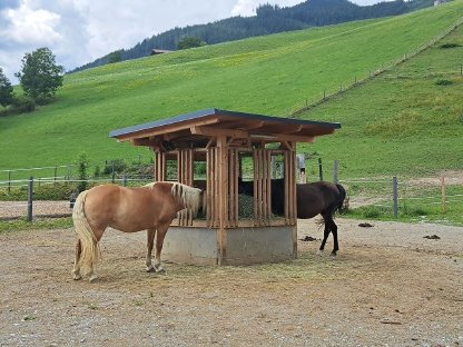 Einstellplätze für Pferde
