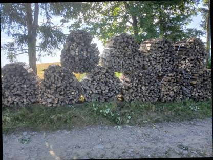 Bild 2:Brennholz Bündel