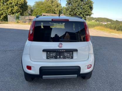 Bild 3:Fiat Panda Allrad Diesel weiß