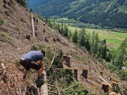 20.000 m² Wald
