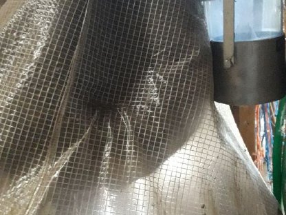 Bremsenfalle, Fliegenfänger, Fliegenfalle