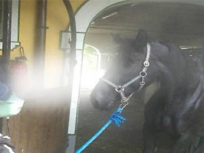 Bild 7:Komponenten für Wasser-Sprühnebelsysteme zur Stallkühlung