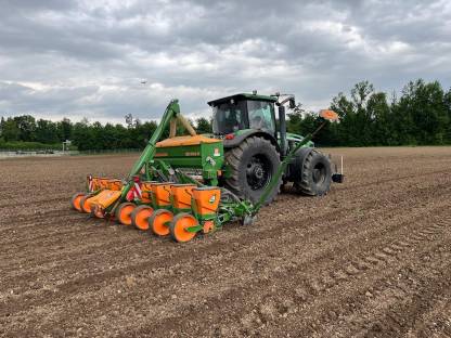 Bild 4:Maissetzgerät Amazone ED 602-K