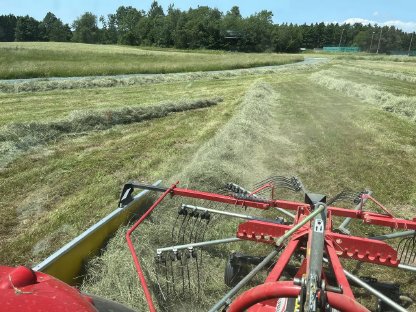 Bild 6:BIO-Heu 1. Schnitt 2025 in Rundballen