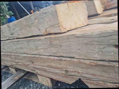 Bild 3:Gehackte Trame, Altholz