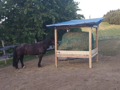 Bild 3:Stall mit 3 Pferdeboxen zu vermieten