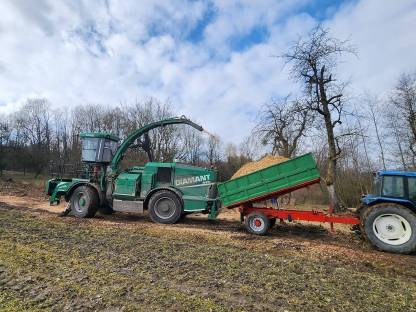 Bild 2:Hackschnitzel überwiegend Hartholz