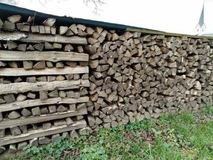 Brennholz Esche