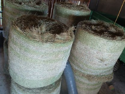 Bild 2:Rundballenbelüftung mobil