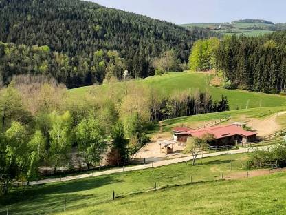 Pferdeeinstellplatz