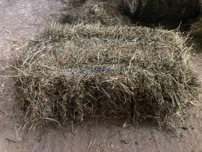 Bild 4:Heu in Kleinballen, 2. Schnitt 2024