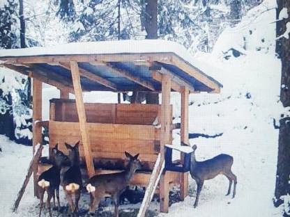 Bild 3:Verkaufe Hochstand, Kanzeln, Fütterungen, Salzlecken