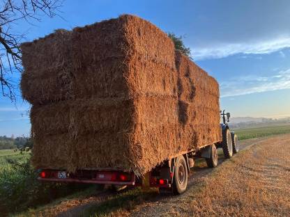 Bild 2:Plateauanhänger Strohanhänger