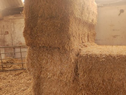 Stroh-Quaderballen zu verkaufen – 7 Stk.