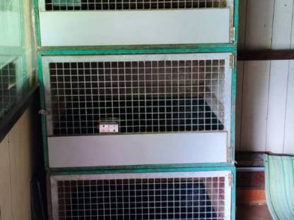 Bild 3:Hasenkäfig mit Wanne