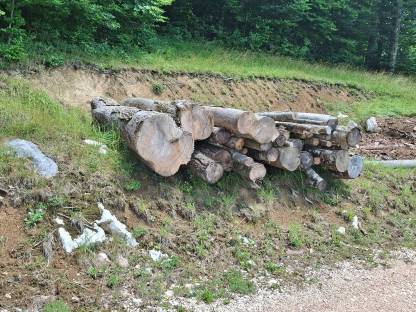 Brennholz