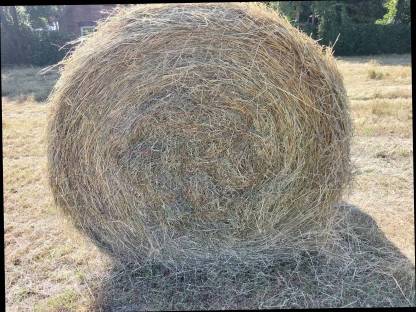 Rundballen Heu