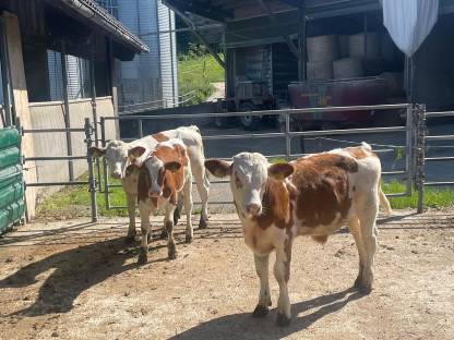 Bild 2:Bio-Fresser 3-4 Monate