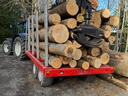 Bild 7:Rungenanhänger/Holzanhänger Palm Kran 675